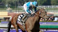 Nov. 02, 2012 - Arcadia, California, U.S - Calidoscopio (ARG) ridden by Aaron Gryder and trained by Frankel, wins the Breeders' Cup Marathon (Grade II) at Santa Anita Park in Arcadia, CA.
