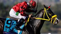 Nov. 03, 2012 - Arcadia, California, U.S -Trinniberg (KY)ridden by Willie Martinez and trained by Shivananda Parbhoo, wins the Xpressbet Breeders' Cup Sprint (Grade I) at Santa Anita Park in Arcadia, CA.