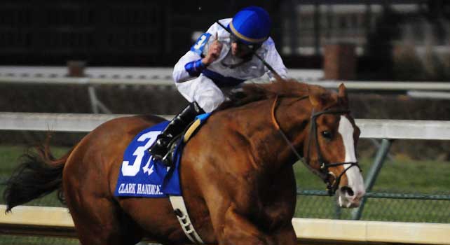 Shackleford (by Forestry), Jesus Castanon up, wins the Clark H. for owners Mike Lauffer and Bill Cubbedge and trainer Dale Romans.November 23, 2012