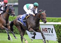 Emerald Beech (no. 3) with Alex Solis atop, wins the Grade 3 Glens Falls Stakes on September 5th at Saratoga.