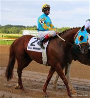 Soul Warrior with John Velazquez 2009 Super Derby