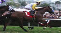 Internallyflawless captures the '09 Del Mar Oaks under Garrett Gomez