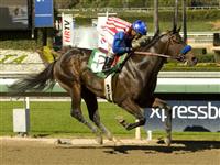 Fed Biz wins at Santa Anita Park on 2-9-12. 