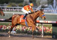 09 December 19: Lookin at Lucky (no. 1), ridden by Garrett Gomez and trained by Bob Baffert, wins the 29th running of the grade 1 CashCall Futurity Stakes for two year olds at Hollywood Park in Inglewood, California.