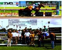 Belleofthebridle