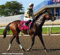ndturf09 4a