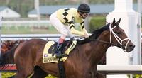 Quality Road waltzes past the finish line after dominating the field in the 2010 Donn Handicap