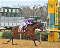 Castaway wins 2012 Southwest Stakes Castaway