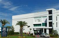 Tampa Bay Downs