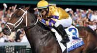 Stately Victor upsets the 2010 Blue Grass