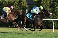 Parting Words breaks maiden at Aqueduct.  