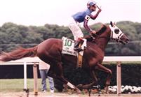 Thunder Gulch