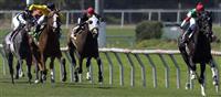 Cesario easily takes the 2005 American Oaks at Hollywood Park