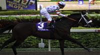 Trickmeister with jockey Javier Castellano winning the Harlan's Holiday Stakes at Gulfstream Park for trainer Rick Dutrow. Hallandale Beach Florida. December 17 2011