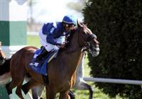 Eventual winner, Wasted Tears with Rajiv Maragh (blue cap) at the start of The Jenny Wiley (grII) at Keeneland Race Course. 04.10.2010