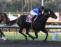 Einstein captures the Santa Anita Handicap