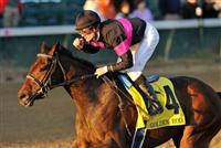 November 27, 2010: Kathmanblu with Julien Leparoux up wins the G2 Golden Rod Stakes for two year old fillies at Churchill Downs in Louisville, Kentucky. 