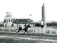 KY Derby