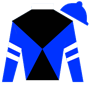 tblues2011 Silks