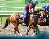 One Sock Down training at Monmouth Park May 29, 2011