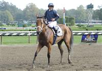 Ask the Moon with Javier Castellano aboard after winning the Grade 1 Personal Ensign at Saratoga Race Track.