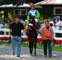 My Princess Jess, Saratoga 2009