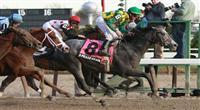 O'Prado Again with Kent Desormeaux up wins the Grade II Remsen Stakes for 2-year olds at 1 1/8 at Aqueduct Racetrack. Trainer Dale Romans. Owner Donegal Racing.