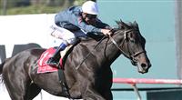 Gozzip Girls win the American Oaks