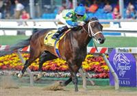 14 May 10: Acting Happy and jockey Jose Lezcano win The Black-Eyed Susan at Pimlico Race Course in Baltimore, Maryland on Black-Eyed Susan Day.