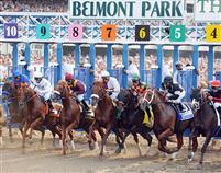 Belmont Park Starting Gate