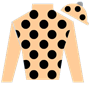 yukichan Silks