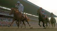 Drosselmeyer captures the 2010 Belmont Stakes over Fly Down and First Dude