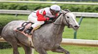 Hit It Rich with Kent Desormeaux up wins the 9th race at Churchill Downs. 04.24.2010
hititrich04_ev042410.jpg