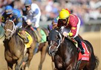 6 November 2010: Big Drama, ridden by Eibar Coa and trained by David Fawkes, romps to a win in the Sentient Jet Breeders Cup Sprint at Churchill Downs in Louisville, KY.(Scott Serio/Eclipse Sportswire)