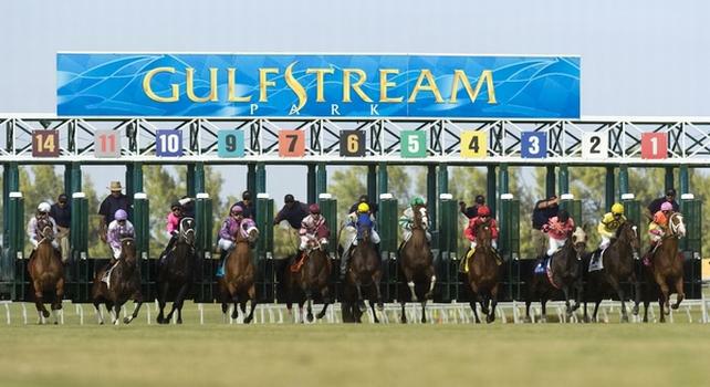 10 January 2010: Horses out of the gate during the Dania Beach Stakes at Gulfstream Park in Hallandale Beach, FL. 