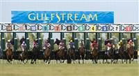 10 January 2010: Horses out of the gate during the Dania Beach Stakes at Gulfstream Park in Hallandale Beach, FL. 