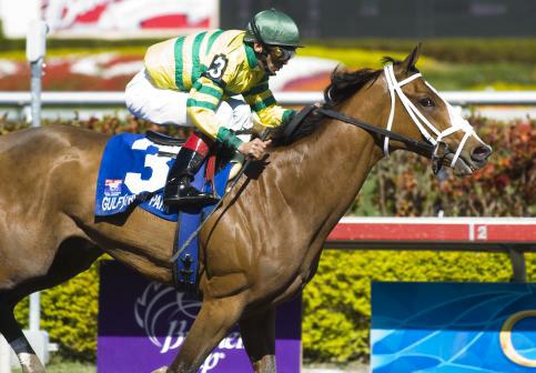 20 March 2010: Devil May Care and Jockey John Velazquez winning the Bonnie Miss Stakes at Gulfstream Park in Hallandale Beach, FL.