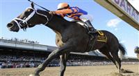 Stay Thirsty (no. 6), ridden by Javier Castellano and trained by Todd Pletcher, wins the 48th running of the grade 2 Jim Dandy Stakes for three year olds on July 30, 2011 at Saratoga Race Track in Saratoga Springs, New York. (Bob Mayberger/Eclipse Sportswire) 