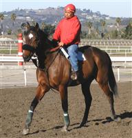 In training at San Luis Rey Downs