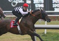 12 December 2009: Mast Track and Rafael Bejarano win the Native Diver Handicap at Hollywood Park, Inglewood, CA. 