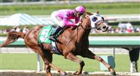 04 October 2009: Blind Luck and Tyler Baze win the Oak Leaf Stakes (GI) at Oak Tree at Santa Anita Park, Arcadia, CA. 