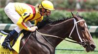 Rachel Alexandra - Fleur De Lis