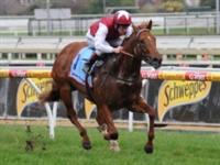 Racing Victoria