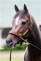 Oxbow