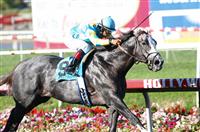 Zensational wins the Triple Bend at Hollywood Park
