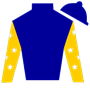 kay.robinett Silks