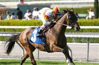 20 March 2010: Bourbon Bay and Rafael Bejarano win the San Luis Rey Handicap(GII) at Santa Anita Park in Arcadia, CA..
