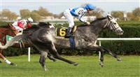 11 06 2010: Grassy with Jersey Joe Bravo up win the 51st running of the Grade II Red Smith Handicap for 3-year old & up, at 1 3/8 mile on the turf, Aqueduct Racetrack, Jamaica, NY. Trainer Christophe Clement. Owners Adele Dilschneider & Clairborne Farm. 