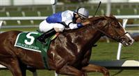 Shackleford top story