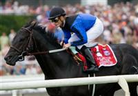 Einstein comes around the first time in the 27th running of the Arlington Million Stakes.
